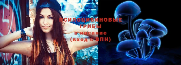 гидра Ветлуга