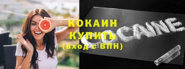 гидра Ветлуга