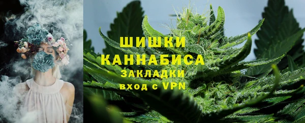mdpv Всеволожск