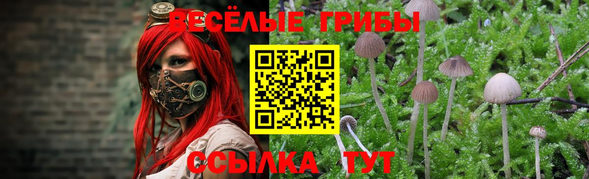 Псилоцибиновые грибы MAGIC MUSHROOMS  Вход с VPN  Аргун 