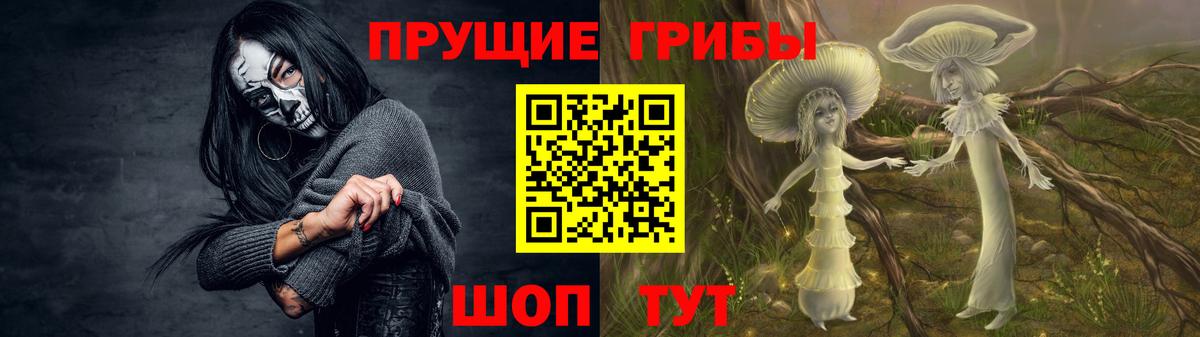 наркошоп  Аргун  Псилоцибиновые грибы прущие грибы 